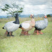 Wildcrete Egyptian Goose